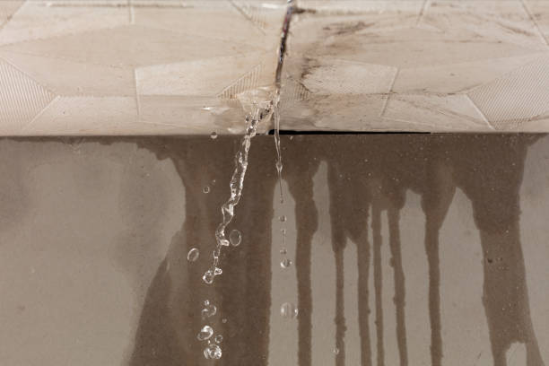 Professional Structural Drying technician working in Finleyville, PA